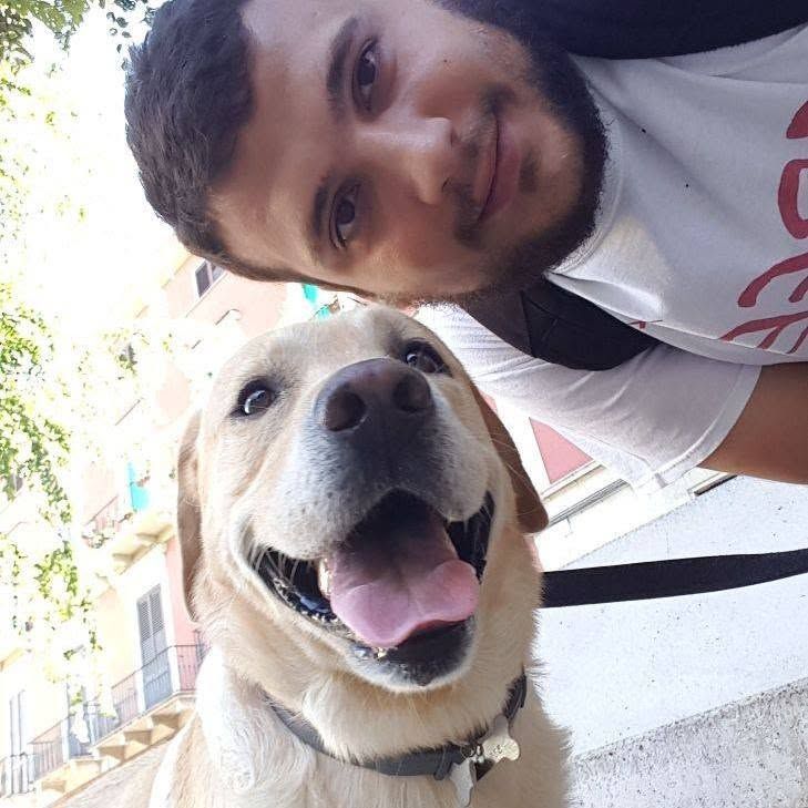 Cane seguito da Mimmo il dog sitter di Barletta, foto 02