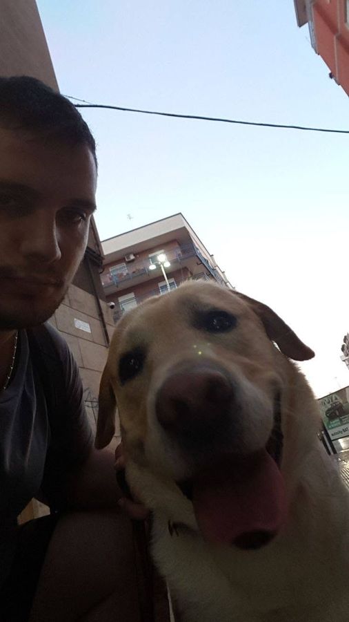Cane seguito da Mimmo il dog sitter di Barletta, foto 37