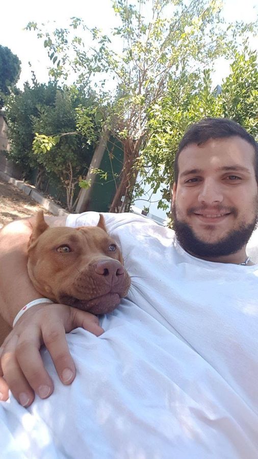 Cane seguito da Mimmo il dog sitter di Barletta, foto 44